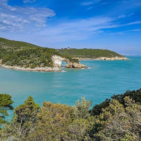 Villa Mapa - Appartamenti Vicino Al Mare Vieste Luaran gambar