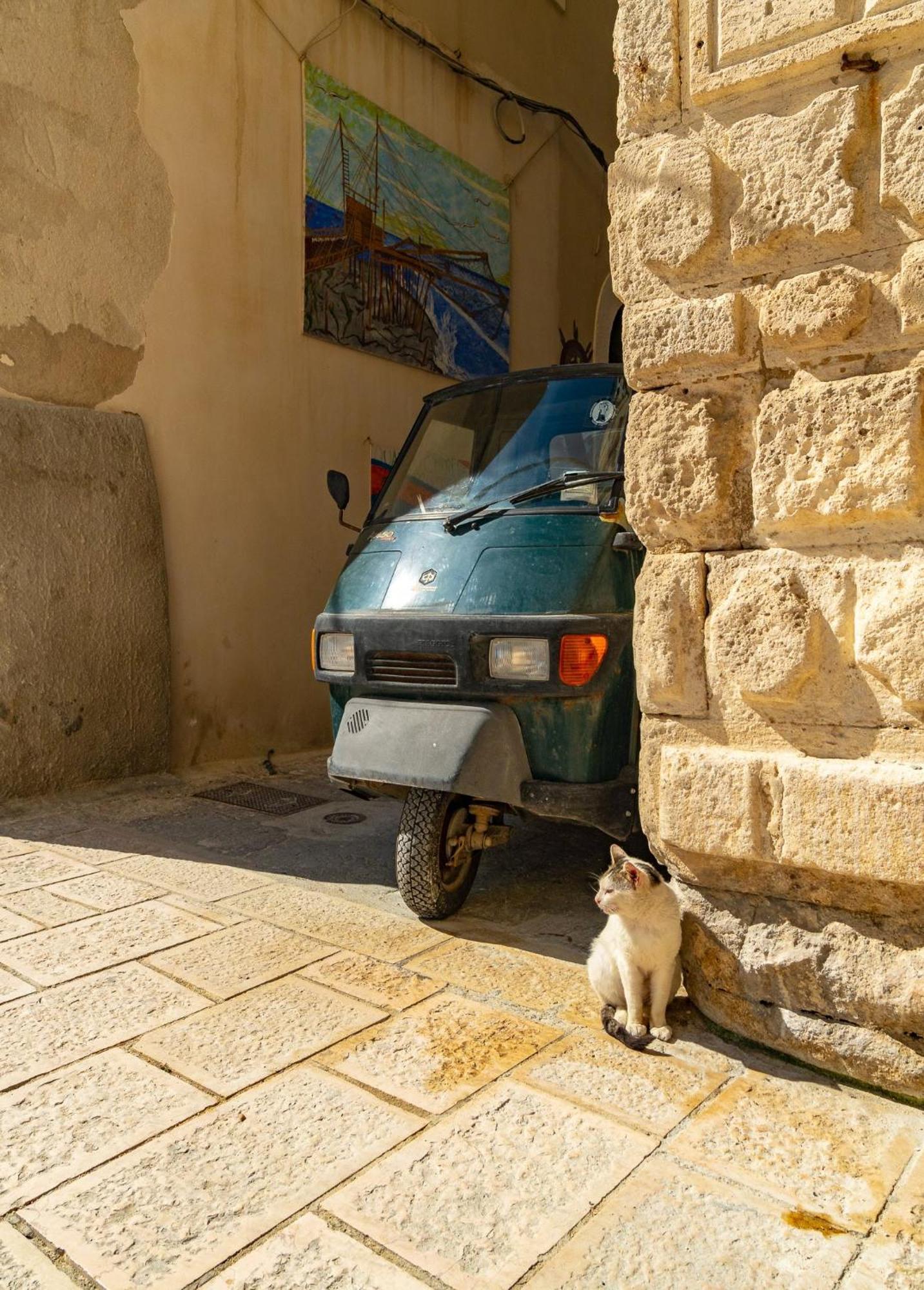 Villa Mapa - Appartamenti Vicino Al Mare Vieste Luaran gambar
